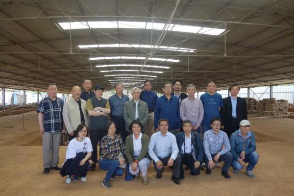 座谈︱洛阳西朱村曹魏大墓的墓主是谁？