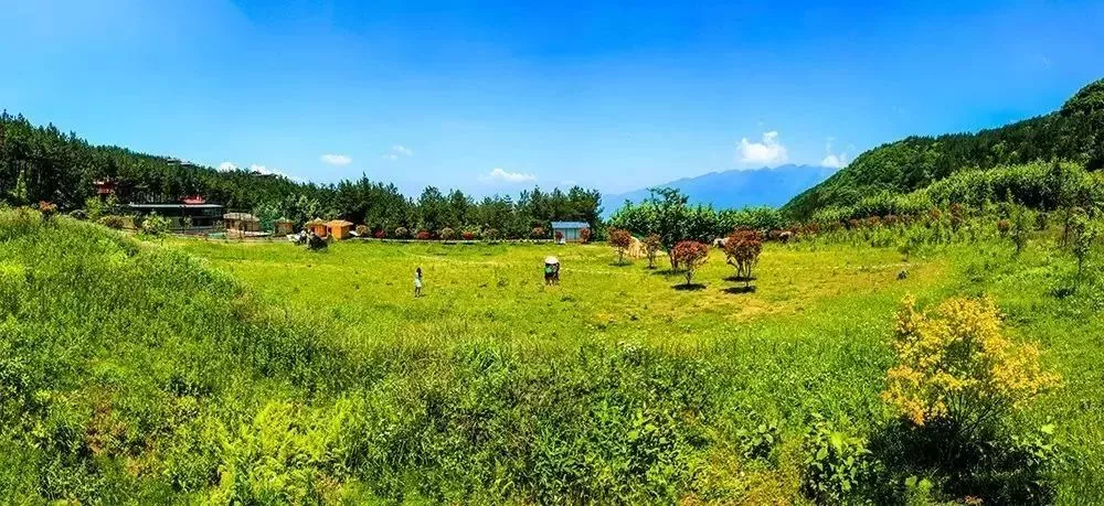 巫山县城→龙门大桥→骡坪方向→小风口岔路口→梨子坪森林公园 平均