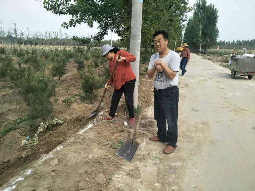 雄县有多少人口_雄县地图