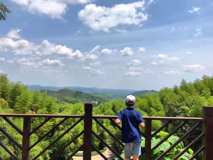 【常熟直发】莫干山独立生活成长夏令营五日 只要2080元 日博bt365