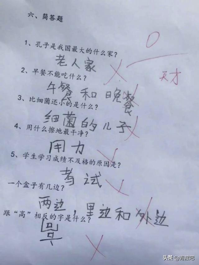 把老师看哭的小学生作业,网友:都是天生的段子手啊!