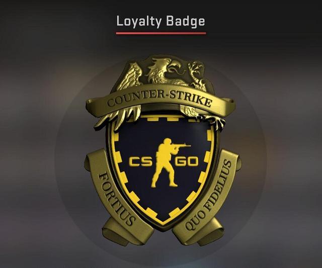 csgo优先非优先状态怎么看