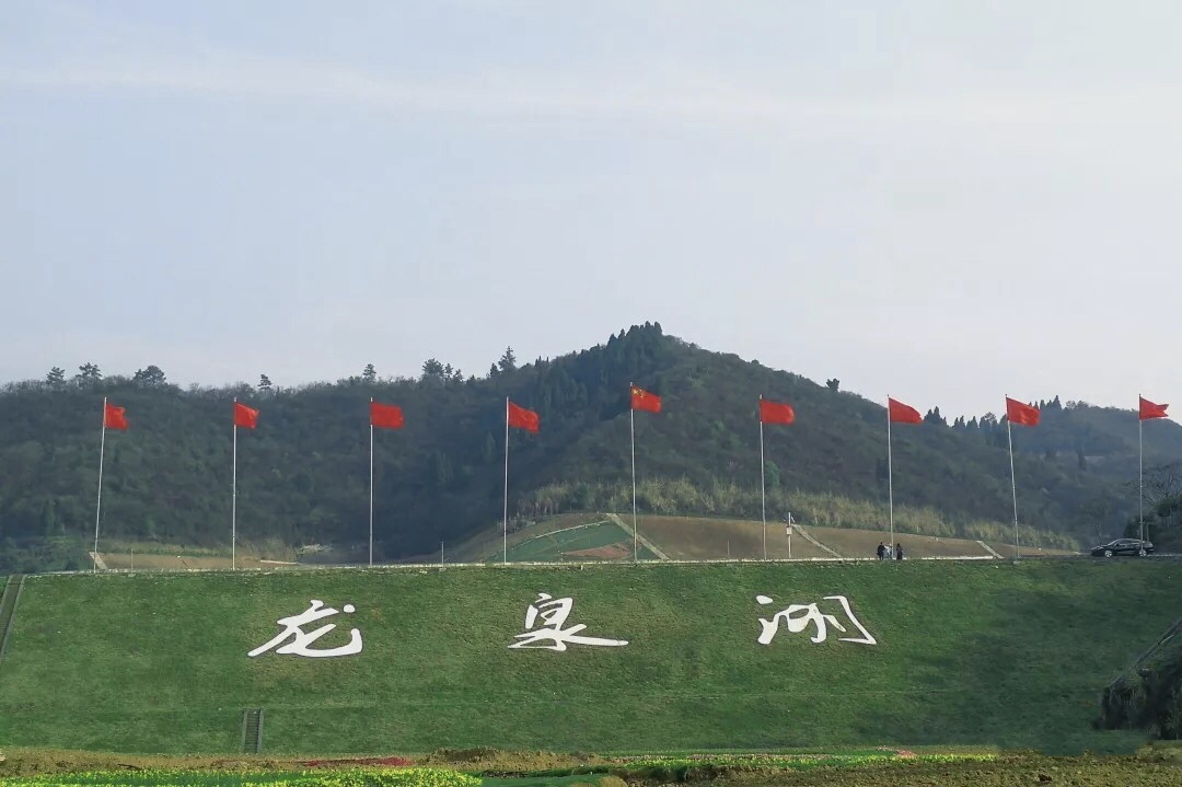 三峡龙泉湖4a标准筑造的体验式花谷旅游胜地