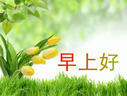 早上好送你清爽的问候温馨的祝愿早晨美妙的开端