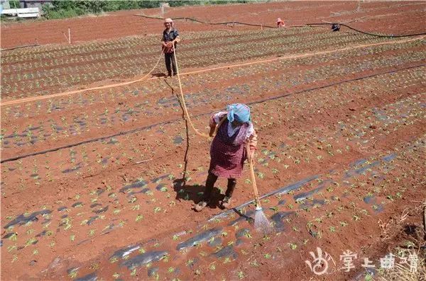 宣威市热水镇gdp_热水镇 云南省宣威市热水镇 搜狗百科(3)