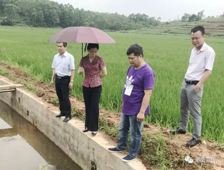 林武到新塘镇湖表村调研指导脱贫攻坚和扫黑除恶专项斗争工作_廖向杰