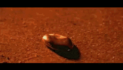 250_143gif 动态图 动图