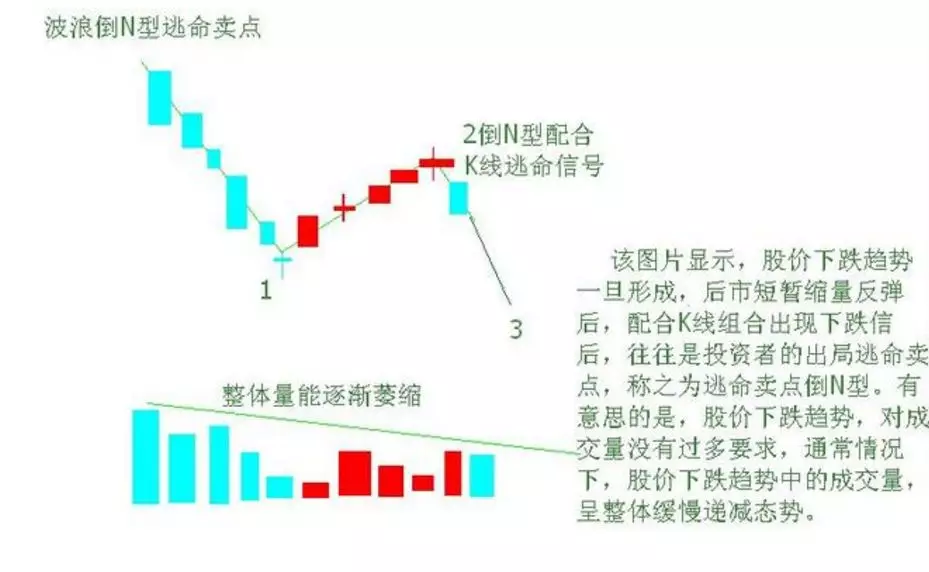 人口波浪理论_人口普查