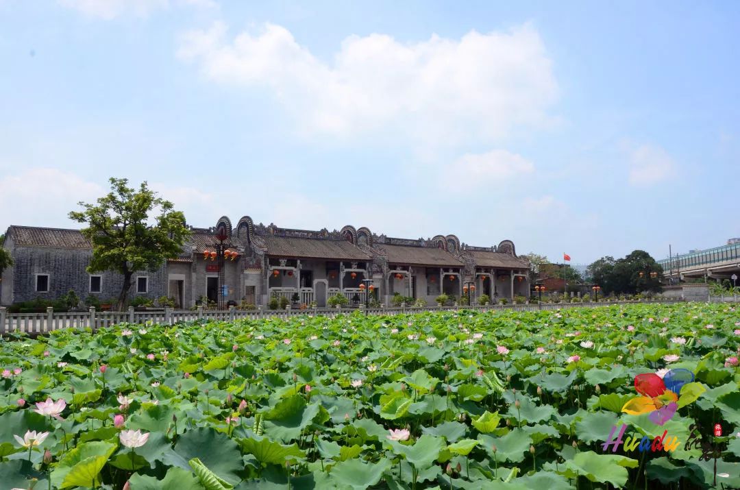 本周末,区内一大批旅游景点推出优惠活动_花都区