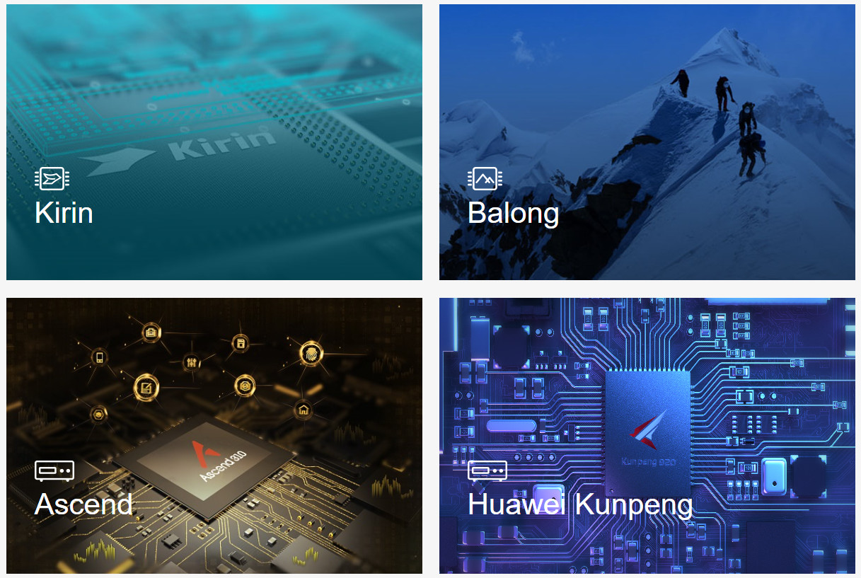 海思排名_饭思思