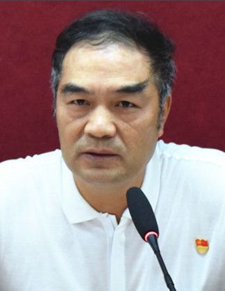 尤天武黑龙江鹤岗市交巡警支队原支队长被双开季雪峰安徽马鞍山市原市