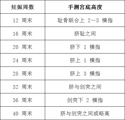 子宫增大根据手测宫底高度及尺测耻上子宫长度(下表,可以判断妊娠周