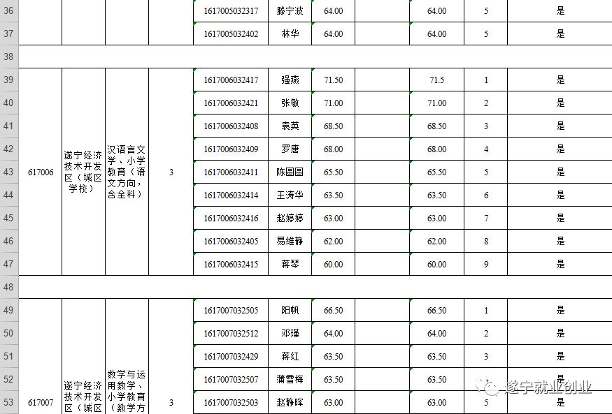 四川遂宁市2019经济总量_四川遂宁市大英县图片