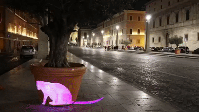 最近羅馬街頭驚現巨型光雕藝術貓咪，才發現貓咪還可以這麼玩！ 未分類 第17張