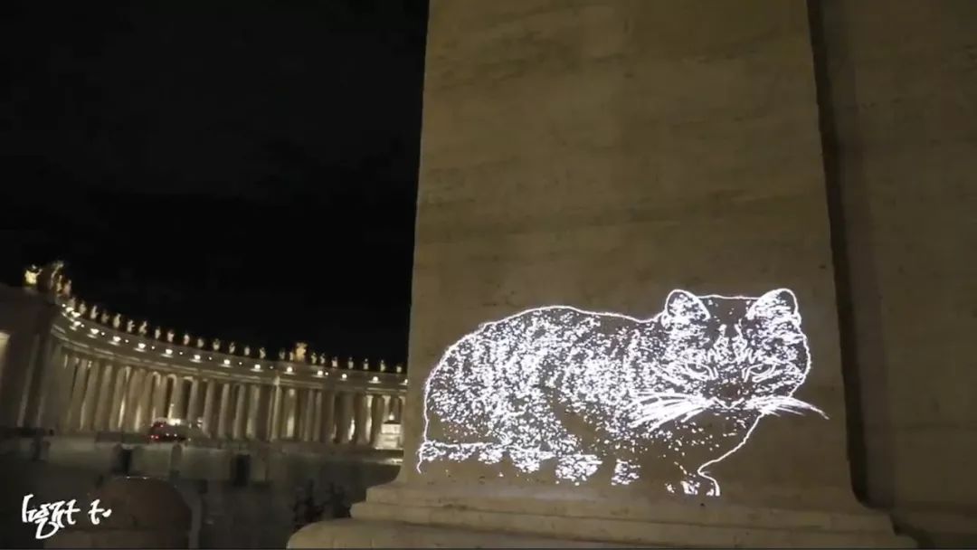 最近羅馬街頭驚現巨型光雕藝術貓咪，才發現貓咪還可以這麼玩！ 未分類 第1張