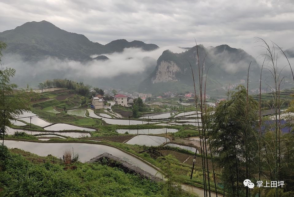 田坪镇将迎强降雨!有雨雾美景,更有灾害风险!