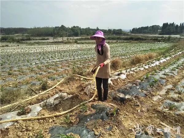 宣威热水镇gdp_热水镇 云南省宣威市热水镇 搜狗百科(3)