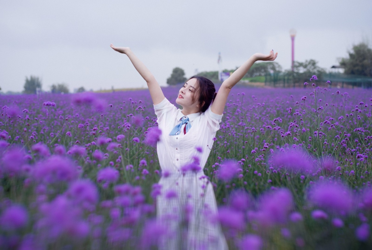 蔚然花海成为紫色恋爱地,马鞭草盛开等你来打卡!
