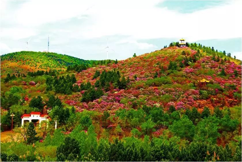 庆师学子看家乡齐齐哈尔碾子山小城不大风景如画