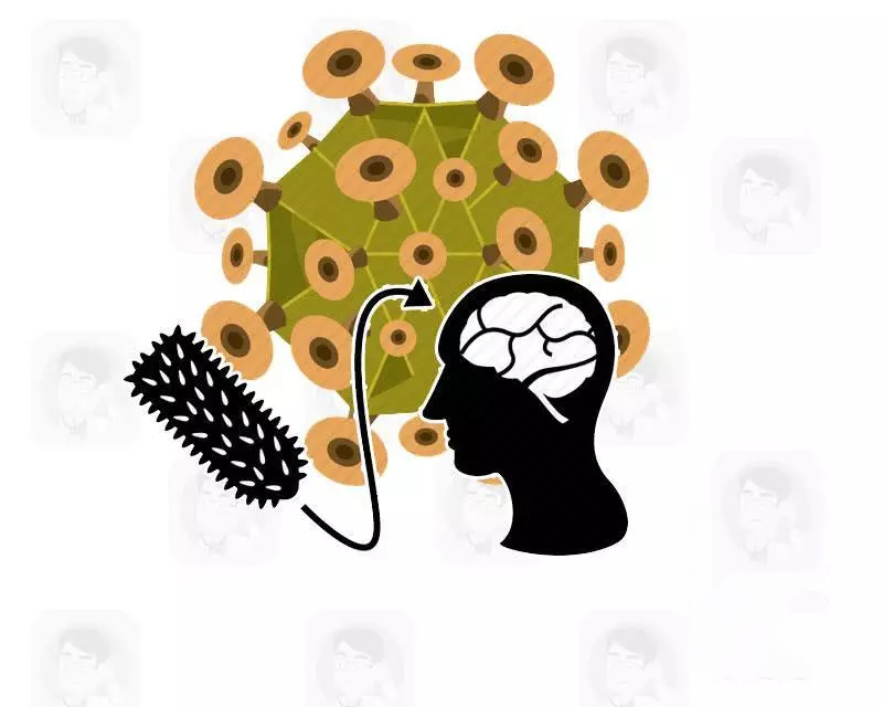 注射狂犬疫苗次日死亡:致死率100%的狂犬病,