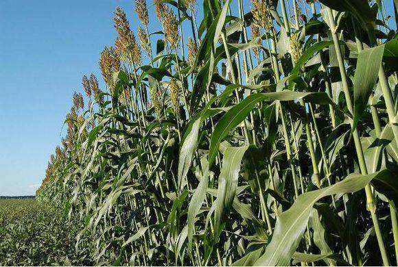 a7ffbe660d0544b8bc0ef6c4aacc2be4.jpeg