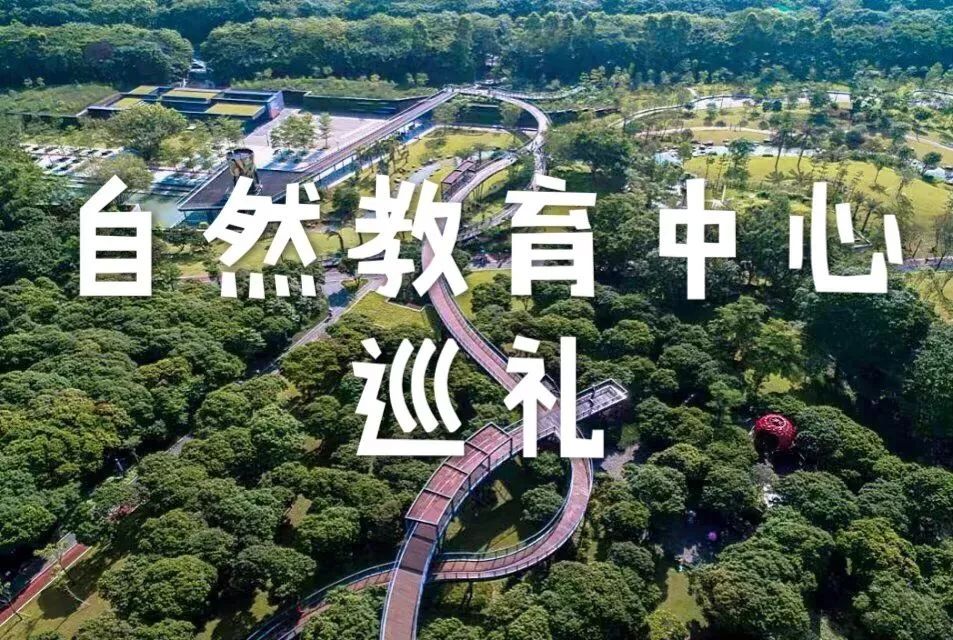仙湖植物园自然教育中心