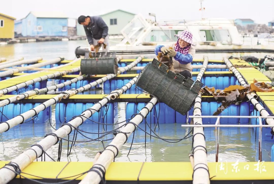 霞浦人口全县_霞浦滩涂