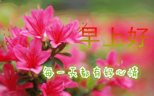 清晨,是一个希望,一个梦想.