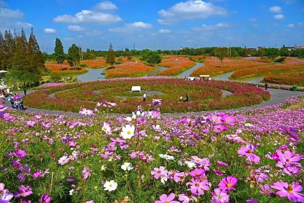 花开海上生态园