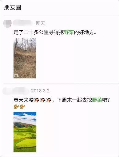 这个季节山野菜和麻辣兔头是绝配【图】 万博娱乐网站