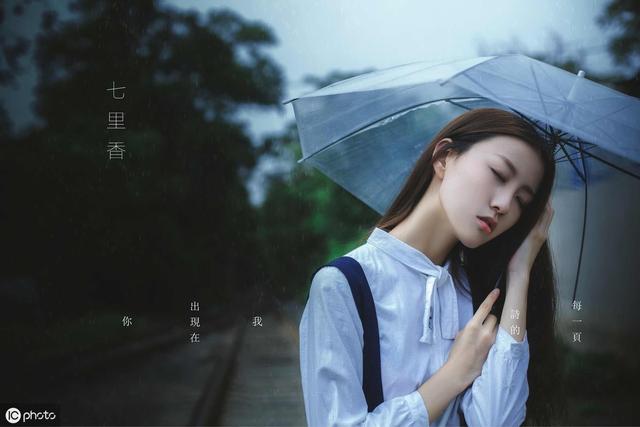 梦境交织，暗恋的温柔与未言之情的深度解析