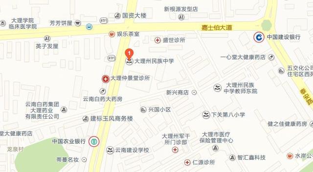 祥云县2020gdp_祥云县李军照片(3)