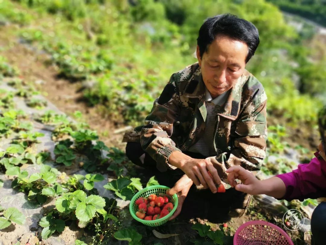 中央台致富经联系方式_中央致富经全集_中央七台致富经