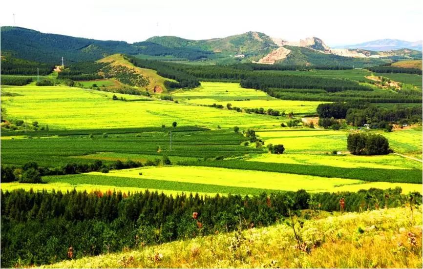 庆师学子看家乡 | 齐齐哈尔碾子山:小城不大,风景如画