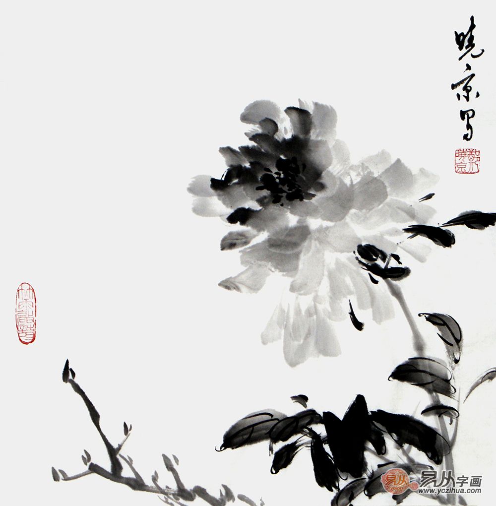浅析郑晓京作品:别有韵味的水墨写意牡丹国画