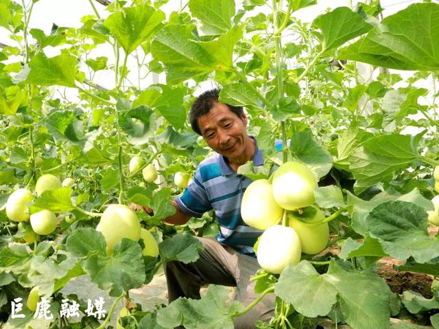 巨鹿有多少人口