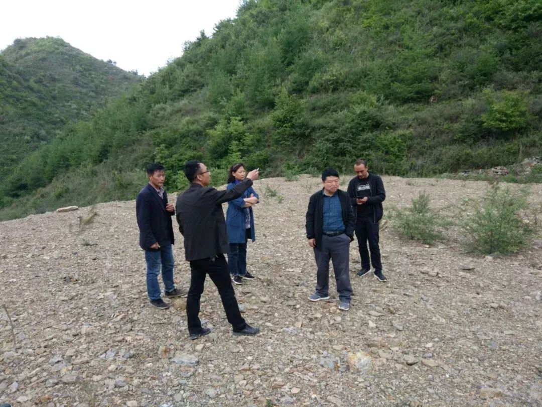 西和县自然资源局扎实推进秦岭西段反馈问题整改工作