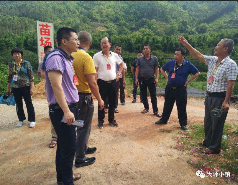 大坪镇组织人大代表开展集中视察,助推我镇经济社会持续健康发展