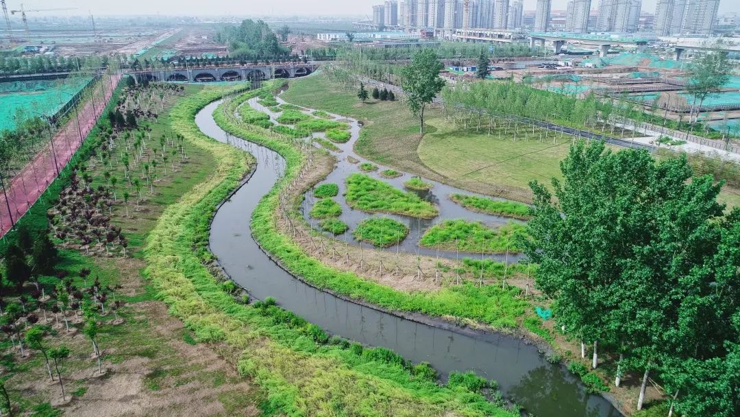 【陕西日报】西咸新区沣西新城:海绵城市让大地不再喊