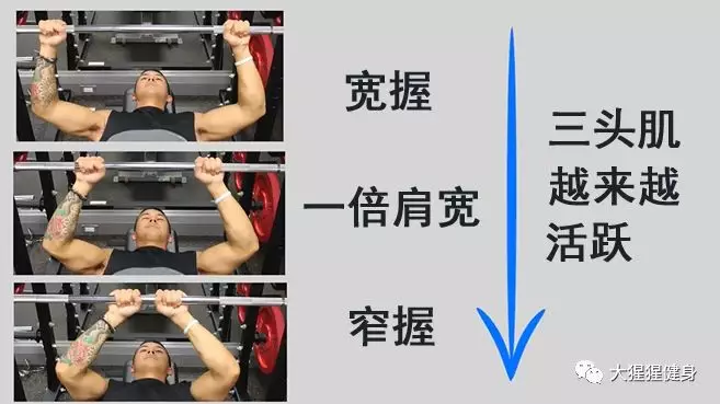 有什么动作可以代替双杠臂屈伸 f24ff1e0b456431a81582c3475feb743.jpg