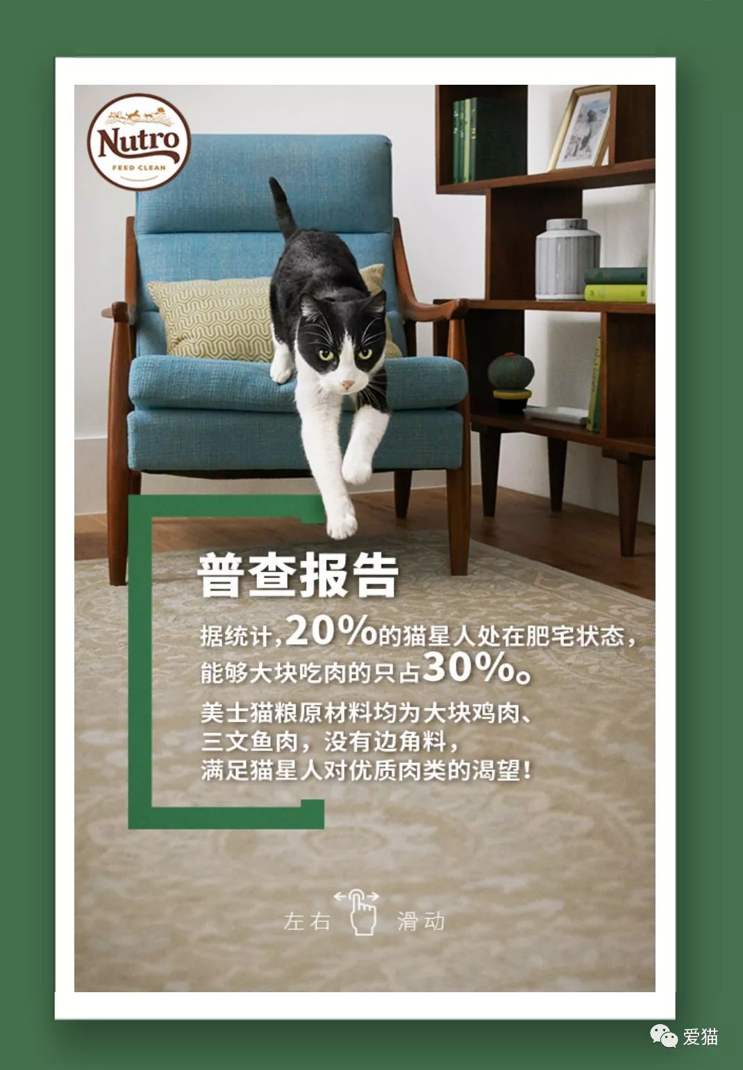 怎么看小猫是否有活力 f8a273d4a2ac495aae2afb8b089fa6fc.jpeg