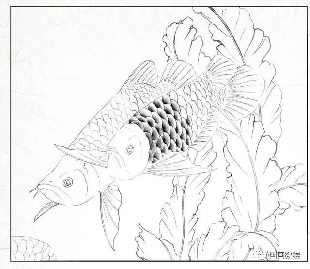 国画教程金龙鱼工笔附染色画法