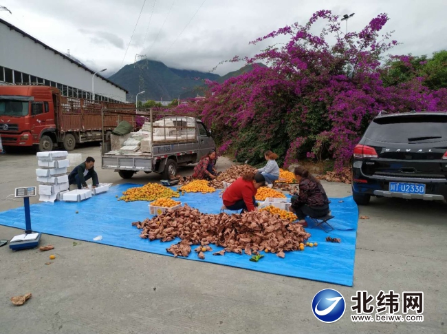 汉源县唐家镇常住人口_雷州唐家镇唐家中学