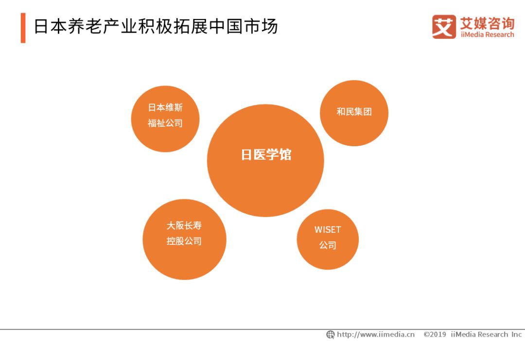 中国2019年人口老龄化_中国老龄人口达2.5亿,80后90后终将晚景凄凉