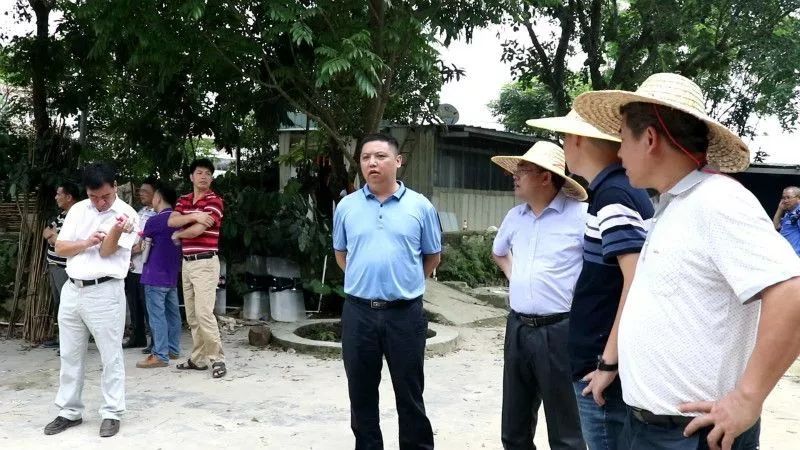 此违法建筑靠近阳春自来水取水口,事主私自在此建造庭院,围闭种养,对