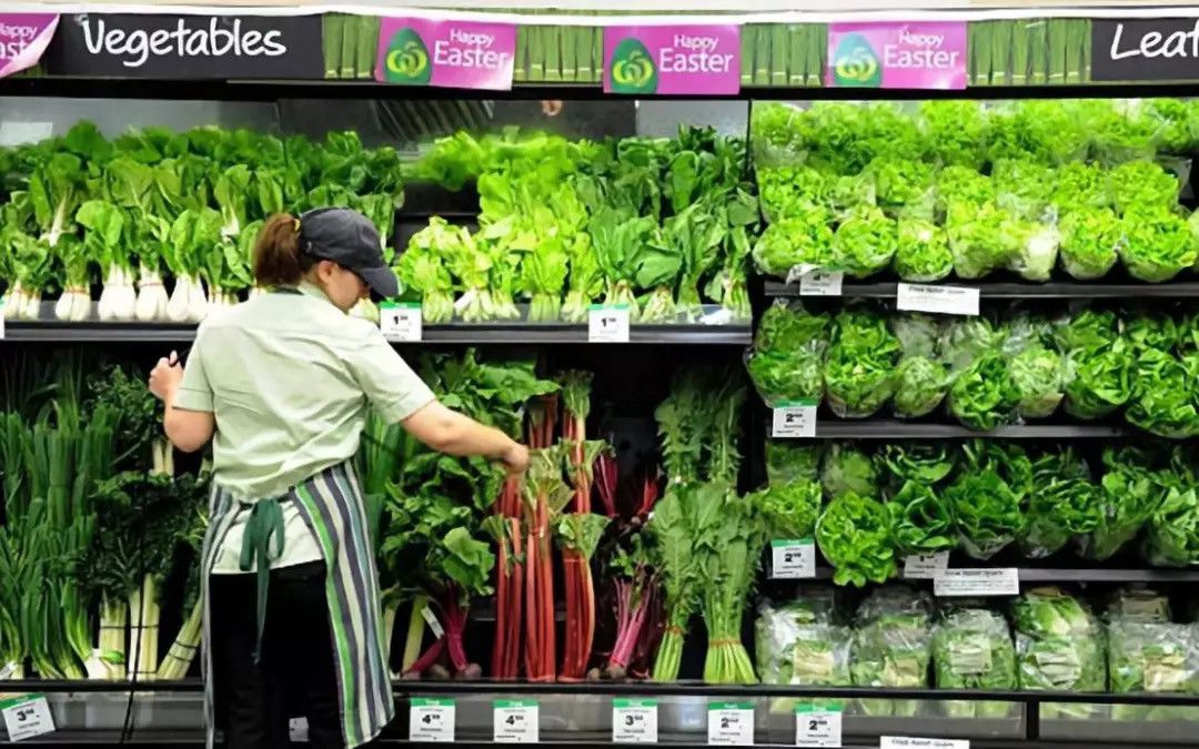 本来澳洲的蔬菜就贵, 再涨价的话…真的要吃土了 先不说了!去超市了!