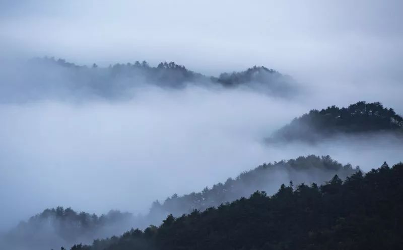 美图 雨后庐山云雾缭绕美不胜数