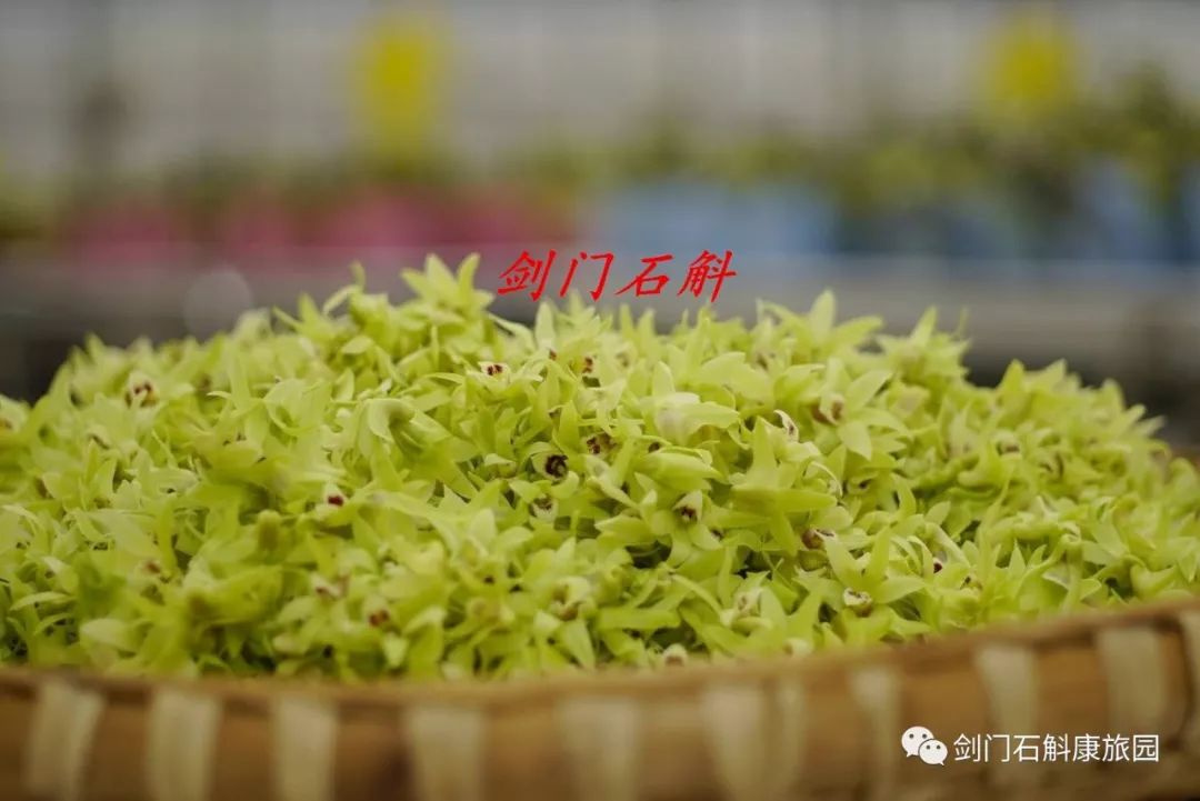 铁皮石斛花的食用方法