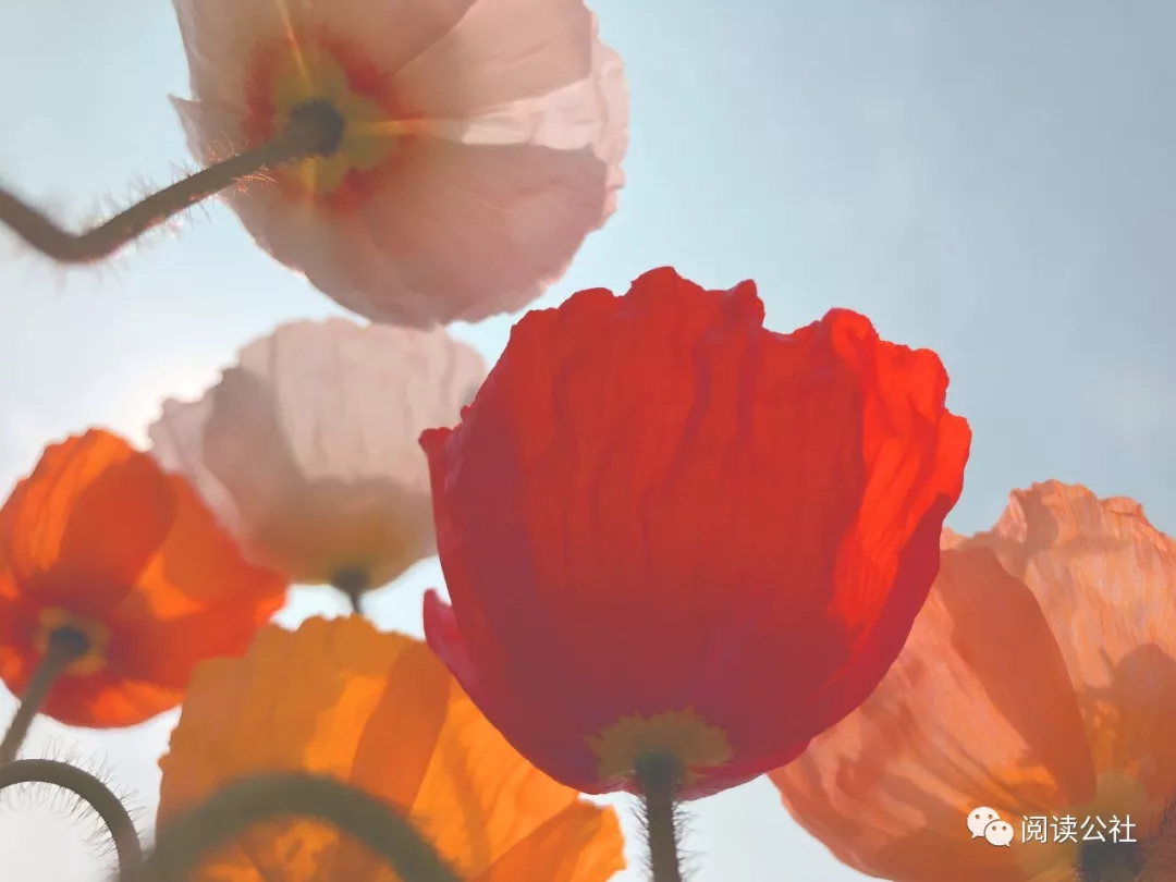 一生8个字！一字悟一生！