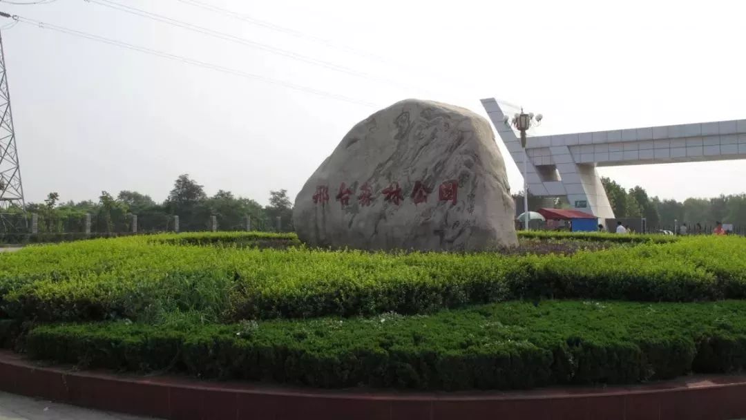 3.森林公园